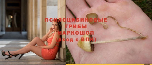 дмт Алексеевка