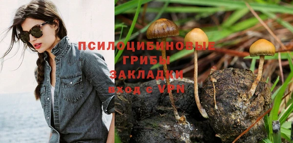 мет Новодвинск