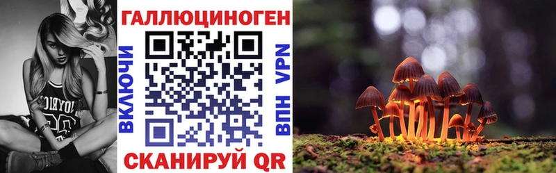 дарк нет телеграм  Каневская  Галлюциногенные грибы прущие грибы 